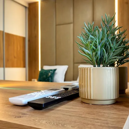 Evergreen 301 - Luxury Near Gondola 班斯科