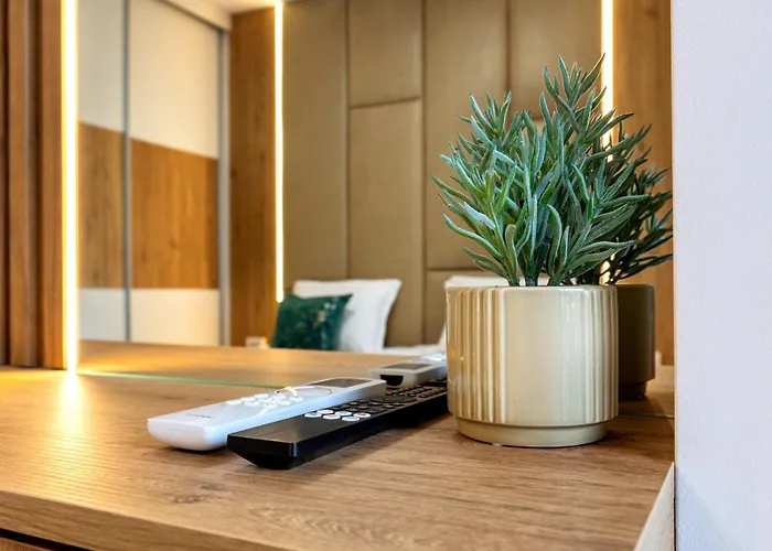 Evergreen 301 - Luxury Near Gondola Bansko